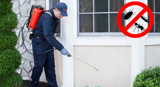 Marmara Böcek İlaçlama böcek ilaçlama ve haşere kontrolü — ilaclama-tr.com